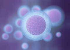 对比人工授精和试管费用，该选哪个一看便知！