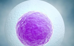 影响试管成功率的三大因素，备孕夫妇一定要了解！