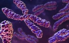 宁夏试管新风向！2024银川三代试管医院排名TOP1独家曝光