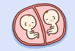 2024年在重庆做三代试管生双胞胎几率大吗