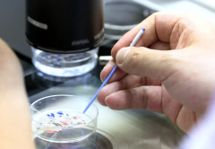 三甲医院试管冷冻费高吗？没你想象的贵！