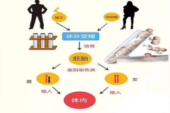 夫妻分享试管真实流程，男女双方有区别！