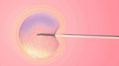 试管几次都不成功，失败主要和这些因素有关！