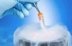 腹部积水影响试管成功率？专家推荐治疗方法全解析