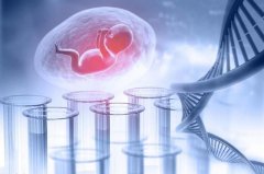 石家庄私立试管医院预约全攻略：从排队到成功，你只需看这篇！