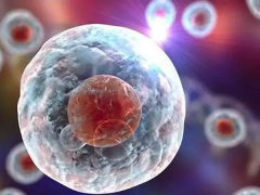 一文读懂：什么是试管7C和6C胚胎？