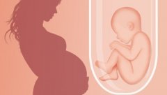 揭秘井冈山附属医院2024试管费用，这份助孕省钱指南你值得拥有！‌