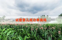 三个影响试管成功率的重要因素，你都了解吗？