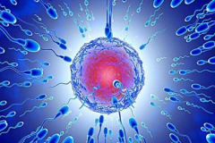 二代试管成功率高吗？存在哪些风险？