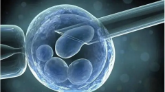 促排卵和试管怀孕不是一回事，不要弄混淆了！