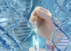 ‌【成功案例】揭秘唐都医院2024年试管高成功率背后的生殖医生团队！