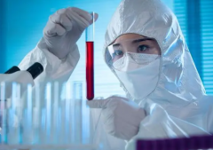 揭秘！囊胚移植VS鲜胚移植：成功率差异及适用人群深度对比