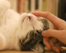 2024武汉儿童医院试管费用清单，这里告诉你要花多少钱！