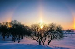 ‌广州试管新价格出炉！2024年详细费用明细，一分钟速览！