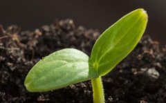 ‌夜班族男性注意！精子质量受损，试管成功率或受波及