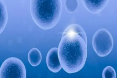 马来西亚试管有特色，这些流程跟其他地方不同