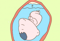 试管常见九大疾病，建议备孕夫妻先了解！