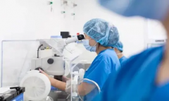 详解试管FET方案，移植前一定建议读懂！