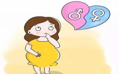 韶关试管选性别多少钱？来看看这份明细清单表分享