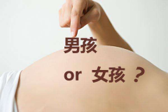 上海三代试管包生'男'孩费用解析，价格只是其中一个考虑因素