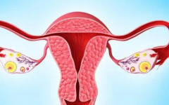 试管促排费用能报销吗？看完本文就懂了