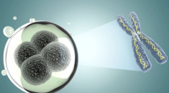 太原三代试管双胞胎包生'男'孩价格清单出炉，2024年最新收费与成功率