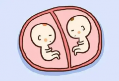 常州三代试管双胞胎成功率分析及影响因素探讨