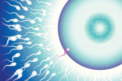 试管降调遇挫？四大原因揭秘，还有应对妙招等你来学！