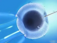 分享南京三代试管流程，附费用明细