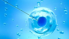 日本试管注意事项，学会才能不踩坑