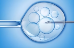 河南三代试管包生'男'孩价格表一览，附生'男'孩费用明细介绍！