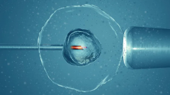 哈尔滨试管生'男'孩费用多少？费用明细与试管流程解析！