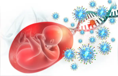 沈阳三代试管私立机构推荐，2024年最佳选择的3家医院大揭秘！