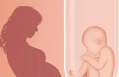 试管男孩要多少钱？晋中私人医院费用详解一文读懂！