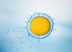 2024保定妇幼保健院试管全费用大揭秘！一文带你了解各环节花费