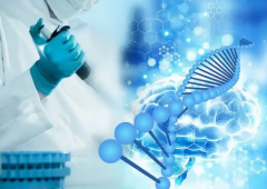 开封三代试管包生'男'孩费用大揭秘！这些风险你也得知道