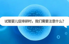 试管促排卵注意事项，做到了才能成功受孕！