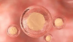 杭州三代试管能不能包成功，总费用需要多少钱？