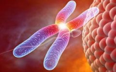 染色体单体与试管：影响有多大？