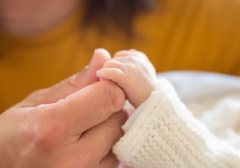 福医二院试管费用分享，主要费用有四项