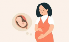 40+女性做试管，成功关键有这三点