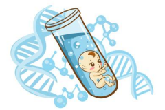 2024年上海红房子医院做试管的费用能报销吗？听听有经验的人怎么说