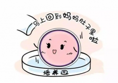 拿10万去俄罗斯做试管够不够用？详细费用清单来帮你算算账