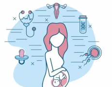 150斤的人做试管能成功吗？这四个方面得留意！