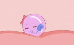 2024年俄罗斯试管价格大揭秘：单身女性赴俄试管费用明细全览！