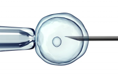 太原三代试管流程深度解析，附关键环节与成功率提升技巧！