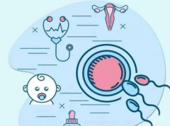 子宫内膜异位症做试管能成功吗？答案在这里揭晓！