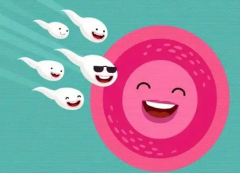 乌克兰试管费用概览：低价方案备受瞩目！