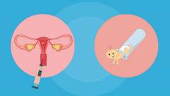 胰岛素抵抗会捣乱试管吗？着床成功率会受影响吗？一看便知！