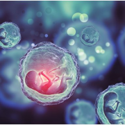 去日本做试管要花多少钱？先来看看费用清单，做好准备！